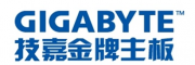 技嘉金牌（GIGABYTE）