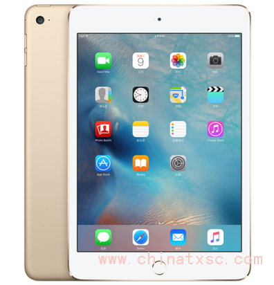 Apple iPad mini 4 金