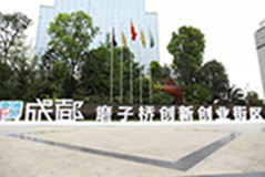 上海鸿维物联网技术工程有限公司成都分公司