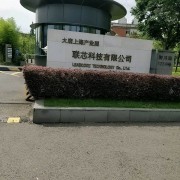 电信科学技术研究院有限公司上海元芯无线移动技术分公司