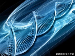 美国科学家成功制造了DNA折纸纳米机器，其机械应力只有1微微牛顿