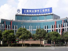 上海扬力电子有限公司