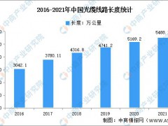 2021年中国通讯电子行业市场数据统计分析