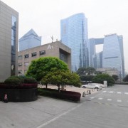 新突思电子科技（上海）有限公司成都分公司